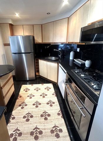 22 Chestnut Place 210, Brookline, MA 02445