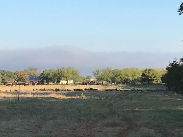 11605 County Road 372, Anson, TX 79501