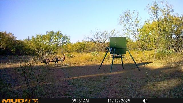 11605 County Road 372, Anson, TX 79501