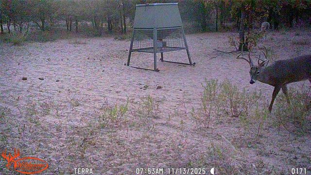 11605 County Road 372, Anson, TX 79501