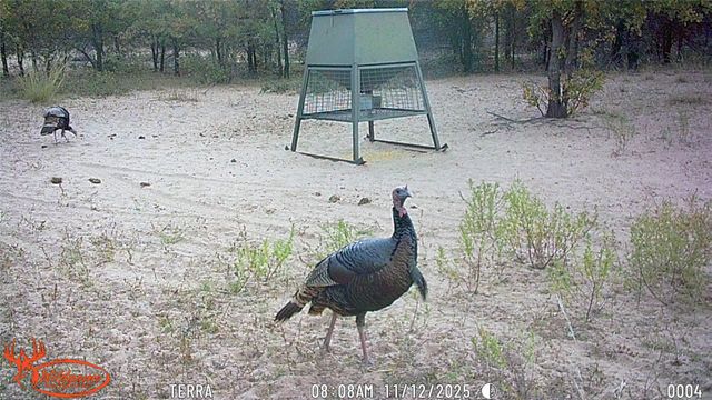 11605 County Road 372, Anson, TX 79501