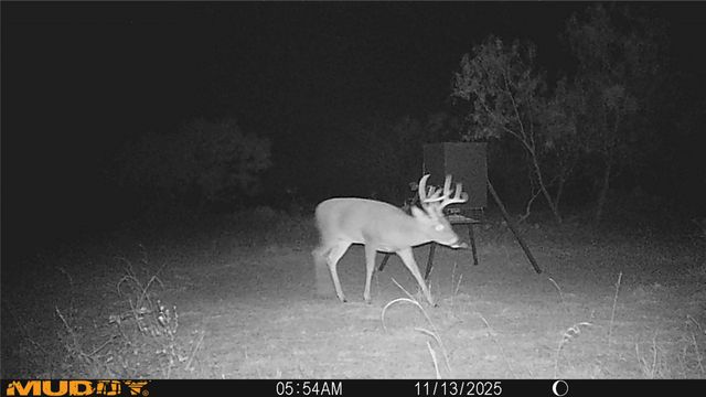 11605 County Road 372, Anson, TX 79501