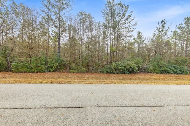 4410 N Duck Creek Road, Cleveland, TX 77328