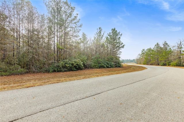 4410 N Duck Creek Road, Cleveland, TX 77328