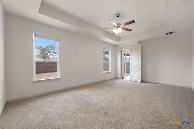 1917 Centerline Lane, Georgetown, TX 78628