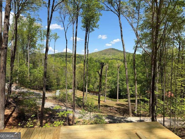 95 Oak Cliff Lane, Morganton, GA 30560