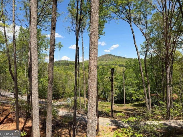95 Oak Cliff Lane, Morganton, GA 30560