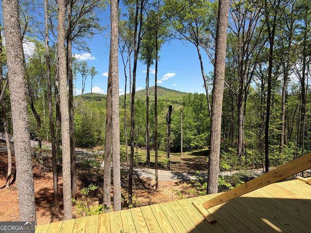 95 Oak Cliff Lane, Morganton, GA 30560