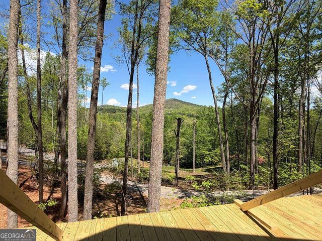 95 Oak Cliff Lane, Morganton, GA 30560