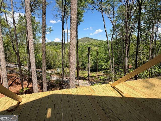 95 Oak Cliff Lane, Morganton, GA 30560