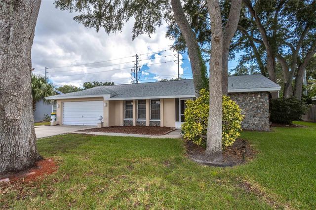 1950 SANDPIPER DRIVE, Palm Harbor, FL 34683