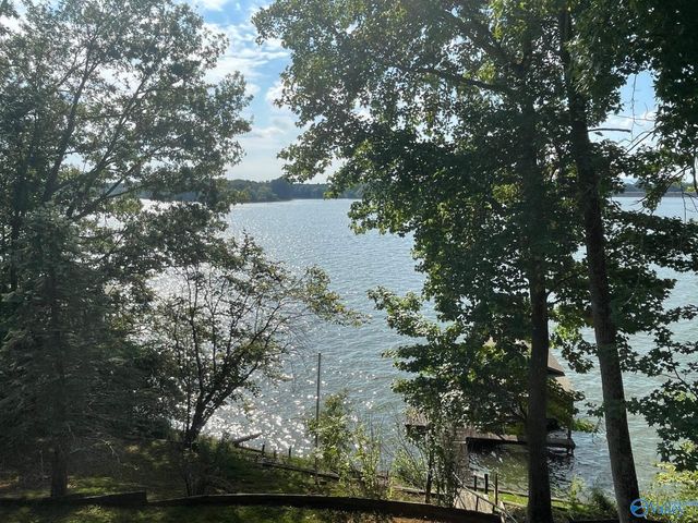 580 Embos Island Street, Leesburg, AL 35983