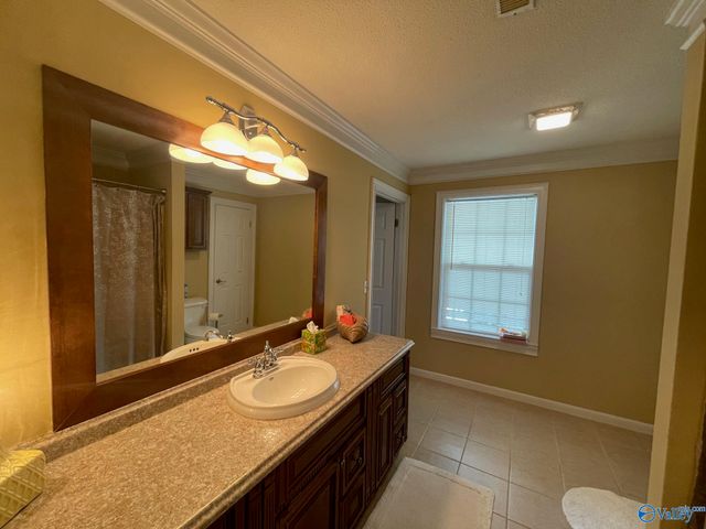 580 Embos Island Street, Leesburg, AL 35983