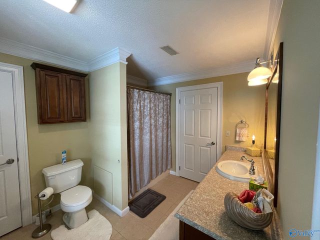 580 Embos Island Street, Leesburg, AL 35983