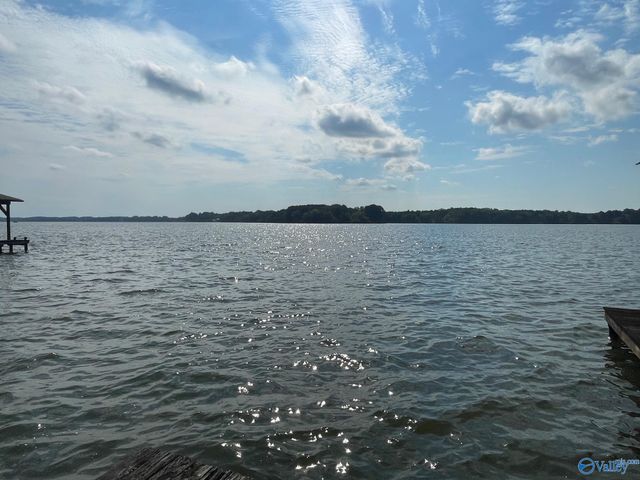 580 Embos Island Street, Leesburg, AL 35983