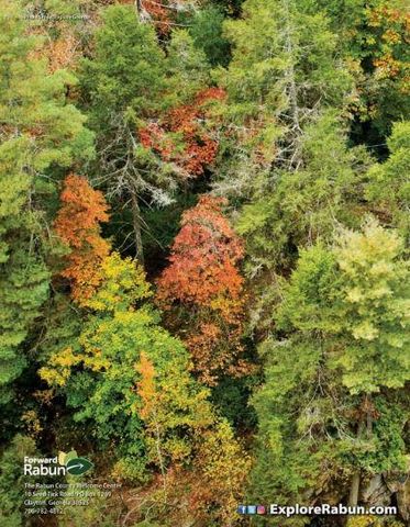 LOT 29 Raven Ridge Road, Clayton, GA 30525