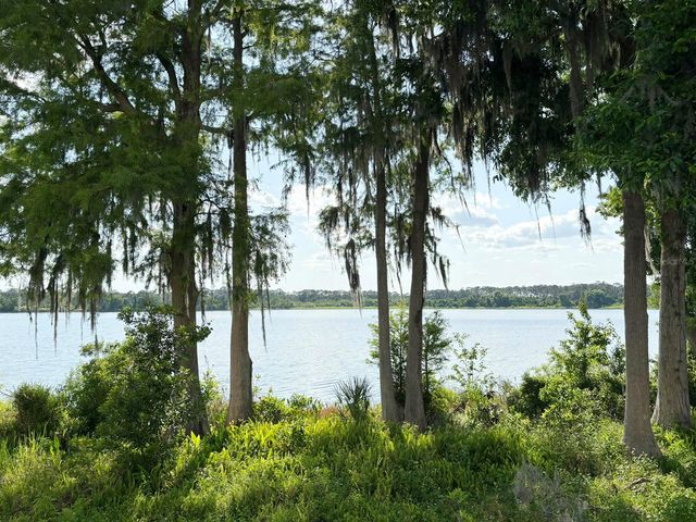 10206 FALLSGROVE STREET, Orlando, FL 32836