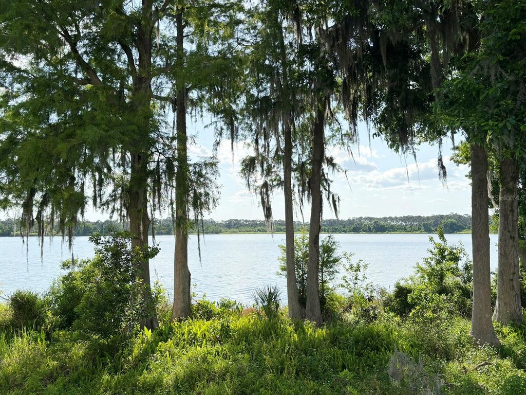 Image 32 of property listing at 10206 FALLSGROVE STREET, Orlando, FL 32836