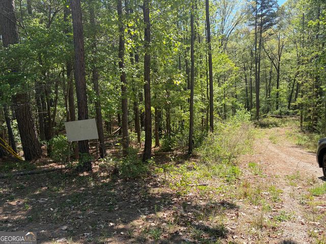 0 Gore Lakes Road, Dallas, GA 30132