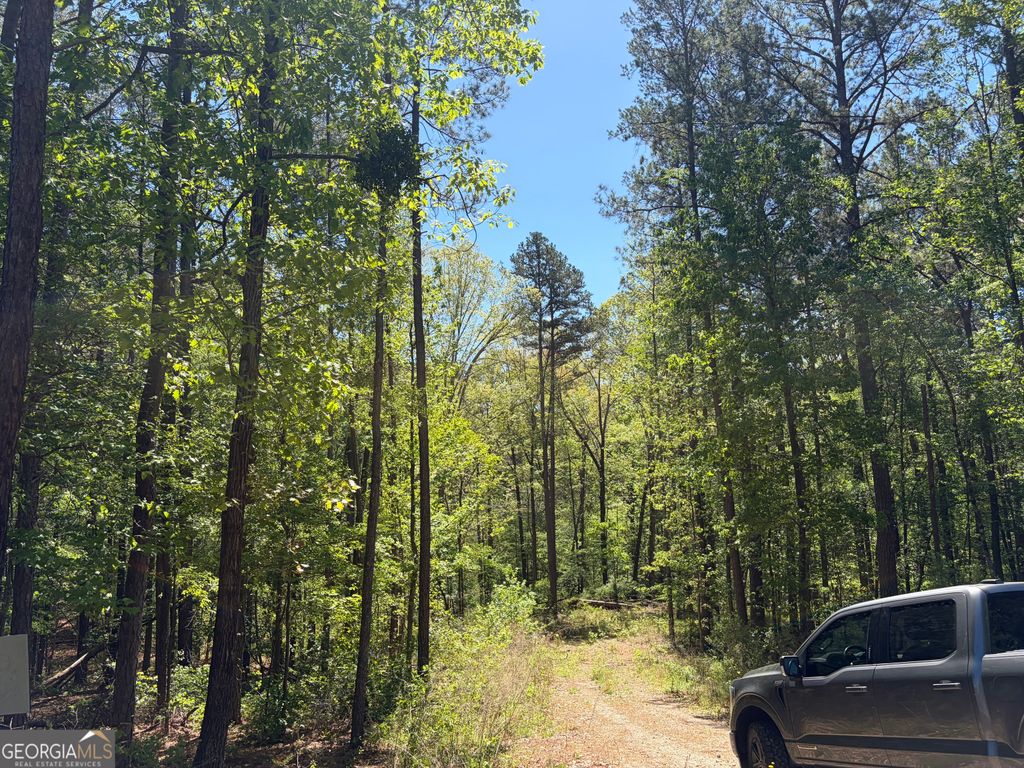 0 Gore Lakes Road, Dallas, GA 30132
