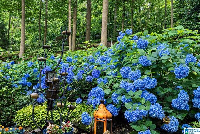 3665 BROOKWOOD ROAD, Mountain Brook, AL 35223