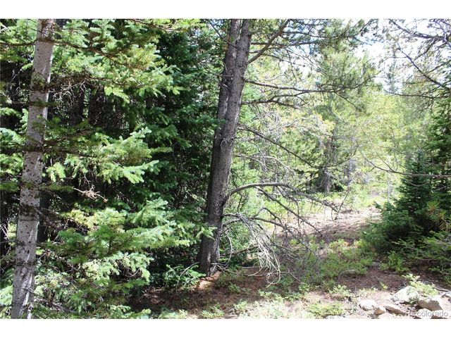 5285 Lucy Agnes, Black Hawk, CO 80422