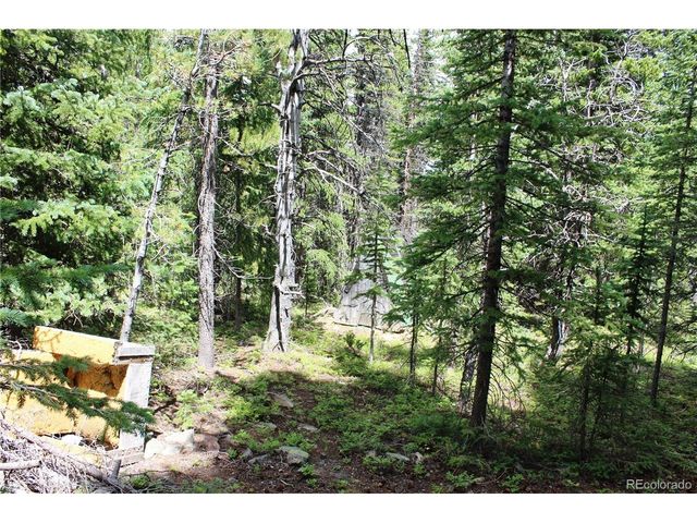5285 Lucy Agnes, Black Hawk, CO 80422
