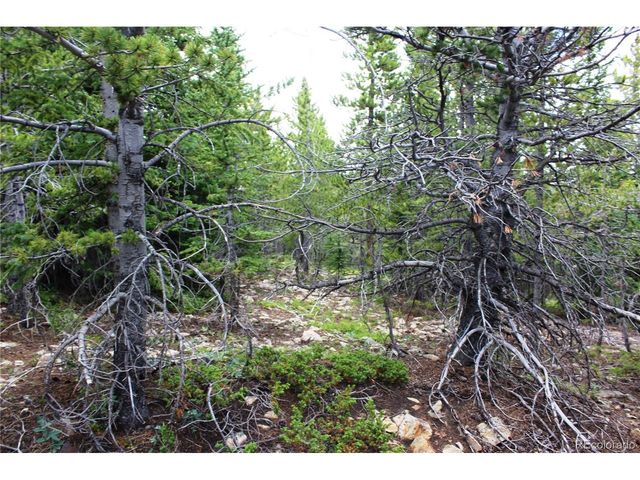 5285 Lucy Agnes, Black Hawk, CO 80422