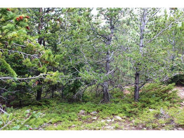 5285 Lucy Agnes, Black Hawk, CO 80422