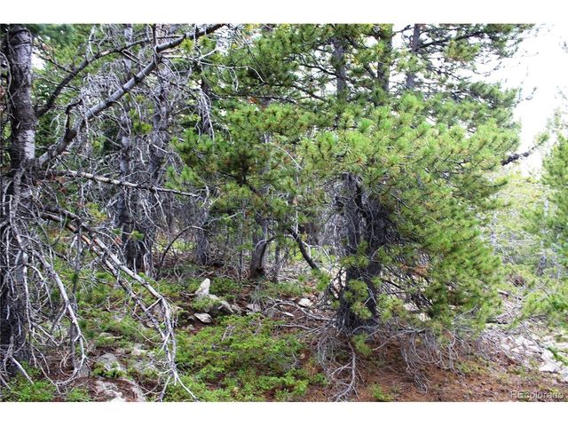 5285 Lucy Agnes, Black Hawk, CO 80422