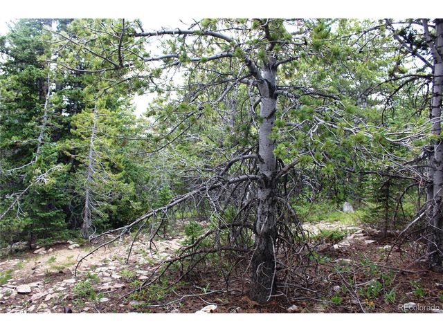 5285 Lucy Agnes, Black Hawk, CO 80422