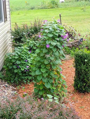 31201 Nova AVENUE, Kendall, WI 54638