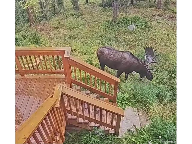 384 Blue Ridge Rd, Breckenridge, CO 80424