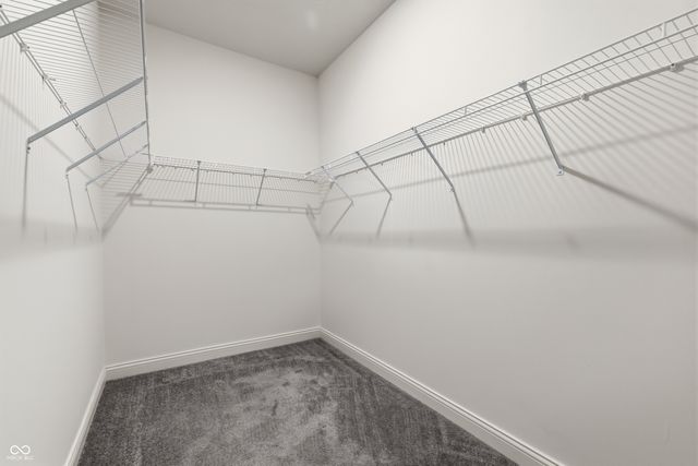 6336 Stallion Way, Indianapolis, IN 46260