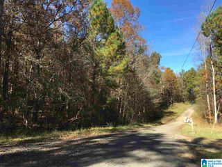 00007 SPRINGHOLLOW ROAD, Ashville, AL 35953