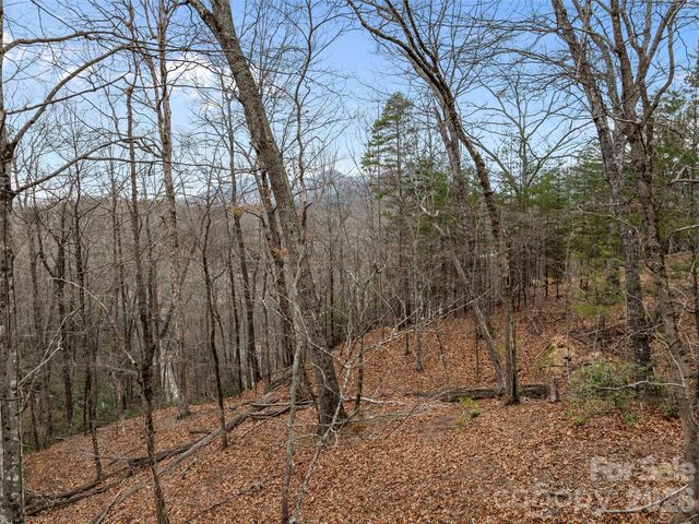 0 Buffalo Shoals Road Tract IV, Lot 25, Lake Lure, NC 28746