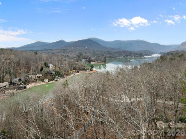 0 Buffalo Shoals Road Tract IV, Lot 25, Lake Lure, NC 28746