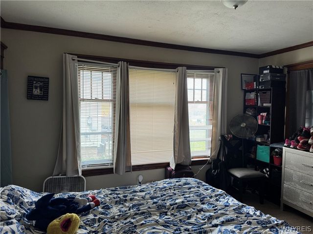 828 15th Street, Niagara Falls, NY 14301
