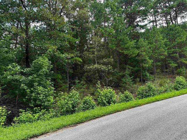 Lot 106 Cobalt Bay Drive, Shirley, AR 72153