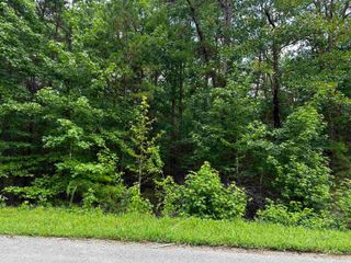 Lot 106 Cobalt Bay Drive, Shirley, AR 72153