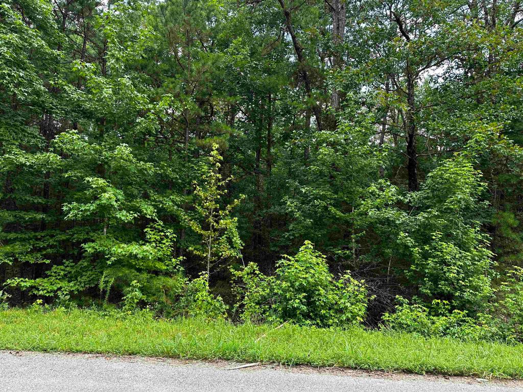 Lot 106 Cobalt Bay Drive, Shirley, AR 72153