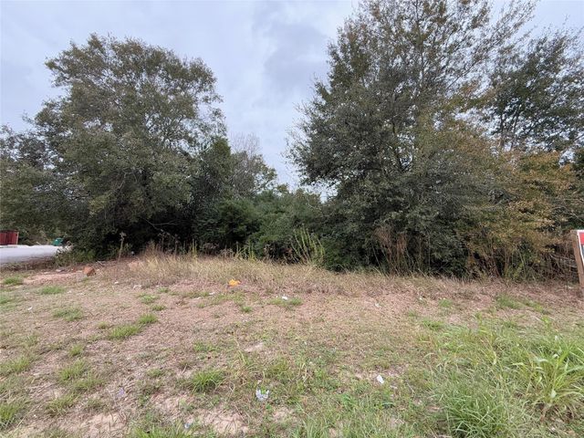 TBD Randolph Street, Houston, TX 77075