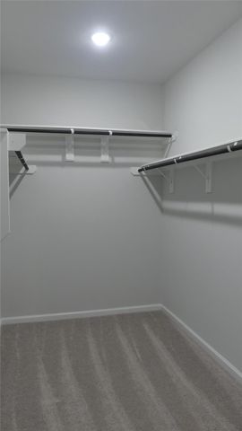 9547 Caney Trails Road, Conroe, TX 77303