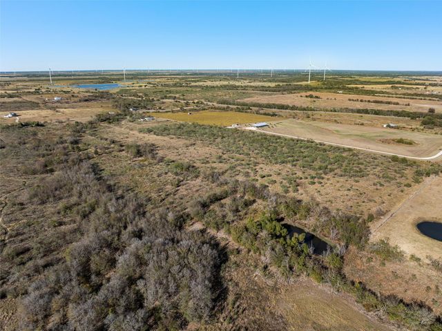 TBD TX-171, Coolidge, TX 76635