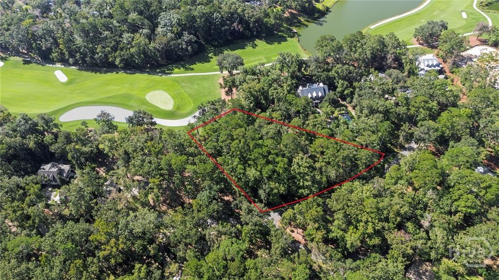 Image 2 of property listing at 155 Hidden Cove Drive, Richmond Hill, GA 31324