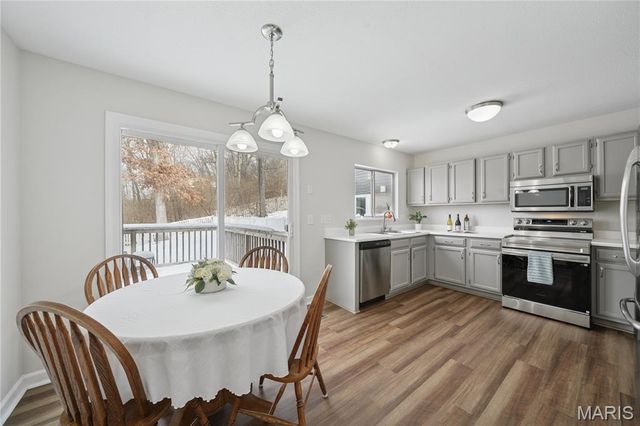 709 Ginger Wood Court, Ballwin, MO 63021