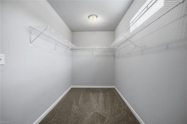 3612 Cardinal Ln, Portsmouth, VA 23703