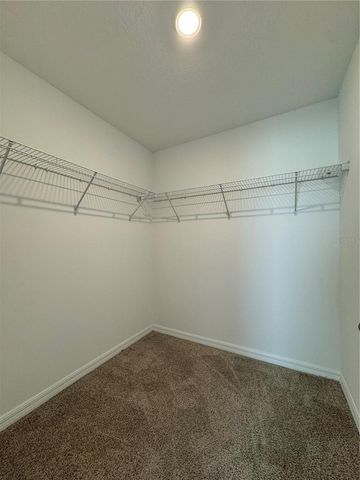 4358 RESTFUL FALLOW COVE, St Cloud, FL 34772