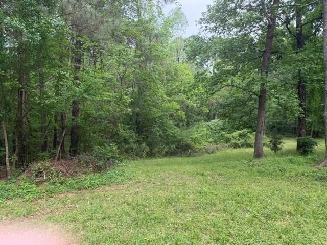 Lot 34 Gov Latham Circle, Point Blank, TX 77364