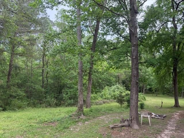 Lot 34 Gov Latham Circle, Point Blank, TX 77364